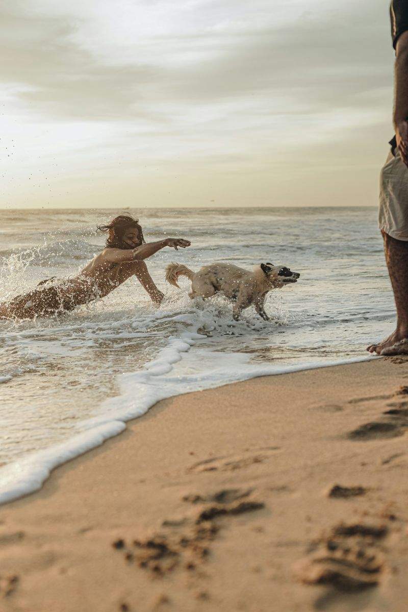 ライフスタイルクリエイションジャパン - Image 1